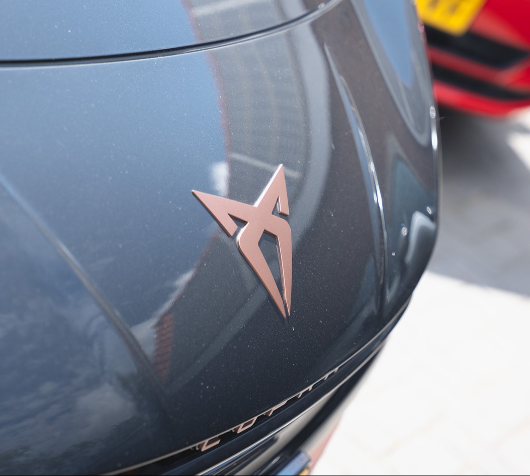 Gallery gallery_images_1_5_1755684261224273384.jpg  |